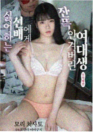 山海纪事条目封面